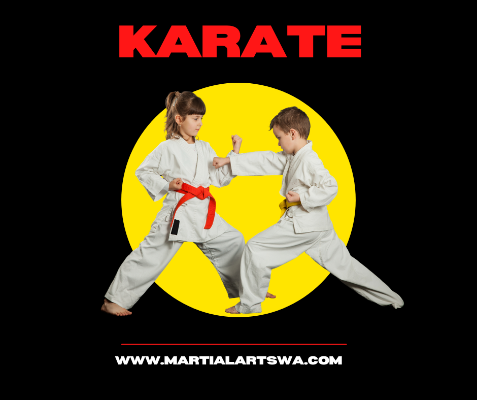 Bellevue Karate School